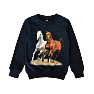 S&C Mädchen und Jungen Sweatshirt Pferde F-105 104