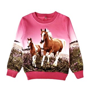 S&C Mädchen Sweatshirt Pferd Fohlen Pink F-108 128