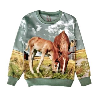 S&C Mädchen Sweatshirt Pferd Fohlen Green F-106 116