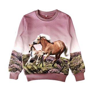 S&C Sweatshirt Pferd Fohlen Brombeere F-104 128