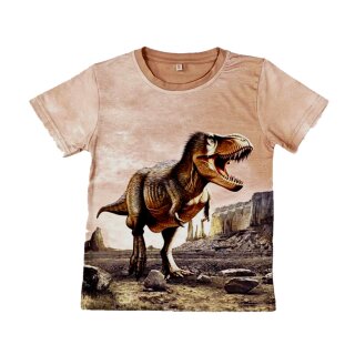 Jungen T-Shirt Dinosaurier Fotodruck H-431 128